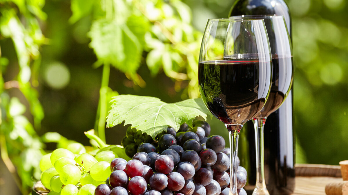 Вино vinogradnoe
